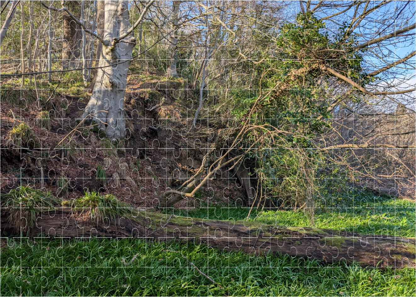 Custom 200 Piece Jigsaw Puzzle